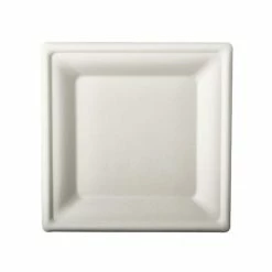Budget 🔥 Assiettes En Canne à Sucre "pure - Carré 200 X 200 Mm - Papstar 🌟
