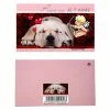 Promo ❤️ Présentoirs Pour Bijoux Cartes Invitation Anniversaire Emballages Carte De Voeux Animaux (10 Pièces) Rose Pale 🥰