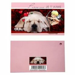 Promo ❤️ Présentoirs Pour Bijoux Cartes Invitation Anniversaire Emballages Carte De Voeux Animaux (10 Pièces) Rose Pale 🥰